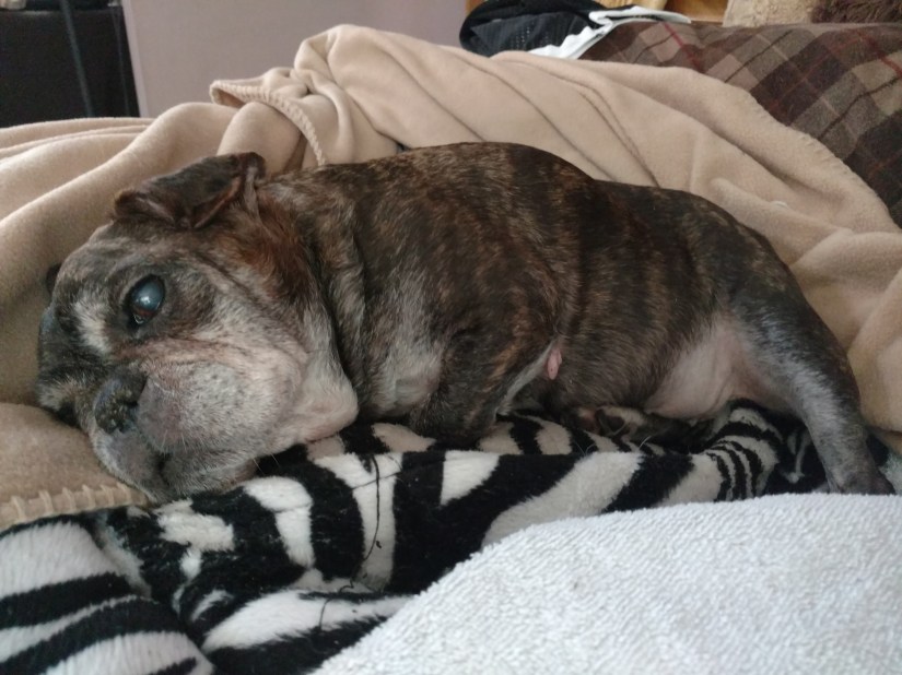 IMG_20160131_092534207