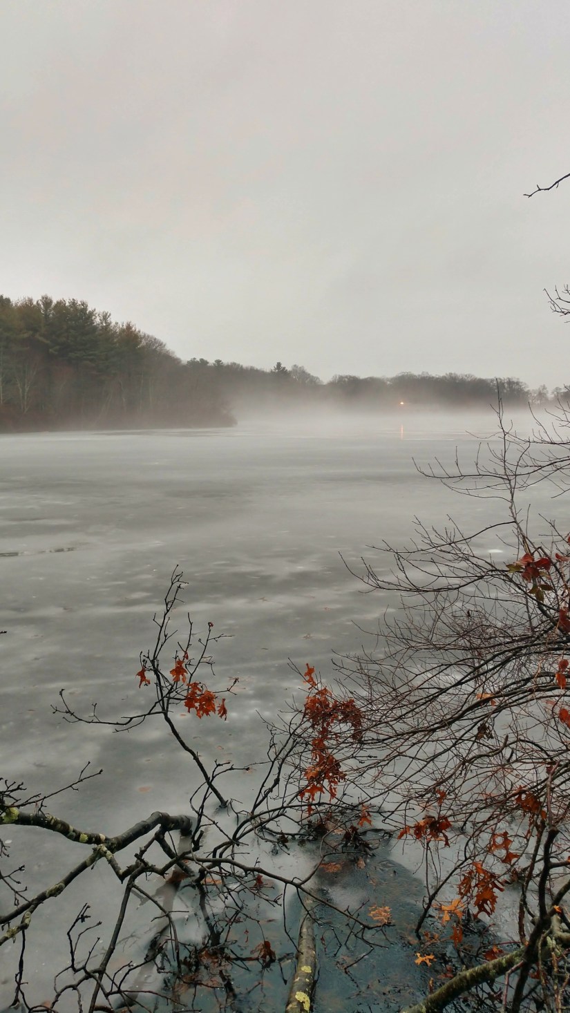 IMG_20180211_073715551_HDR-01